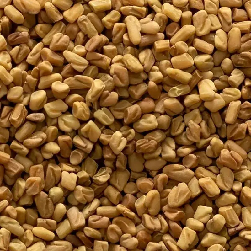 Organic Fenugreek Seeds — organic microgreen seeds from SAGreens
