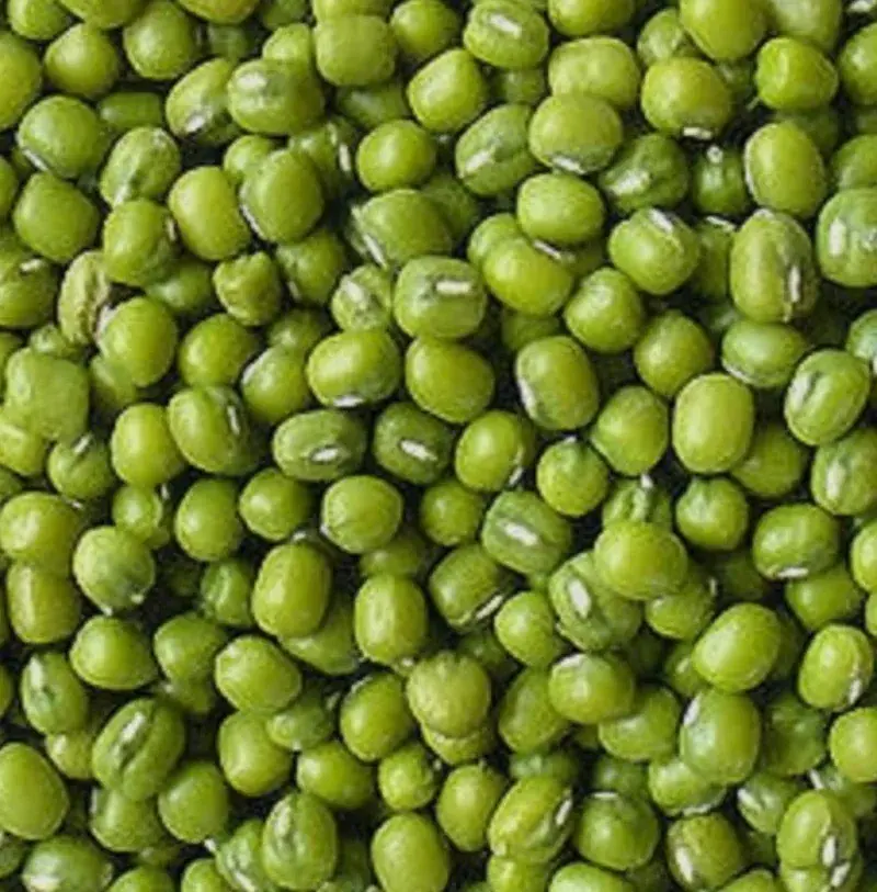 Organic Green Gram Seeds — organic microgreen seeds from SAGreens