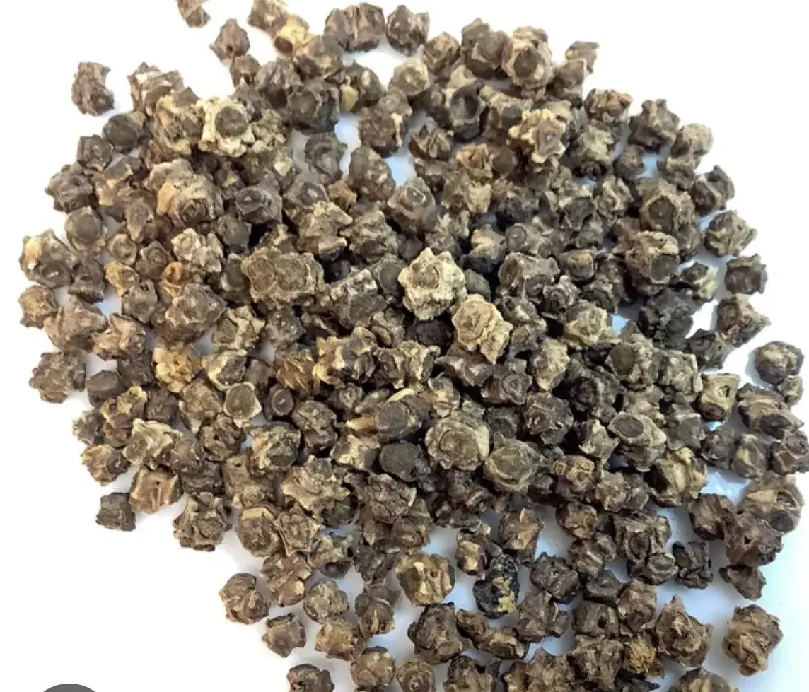 Organic Swiss Chard Seeds — organic microgreen seeds from SAGreens